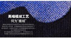 懒猫猫晒月亮的采集 花瓣工艺植绒的艺术与技巧